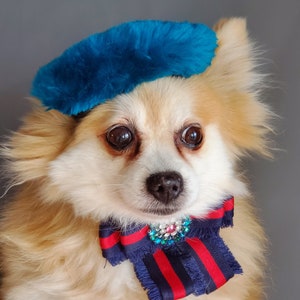 Beret  hat   for dog or cat