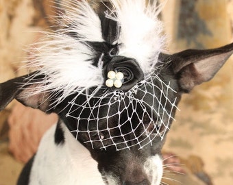 Schwarzer gefiederter Mini Hut für Hund oder Katze, Elegantes Haustierkostüm