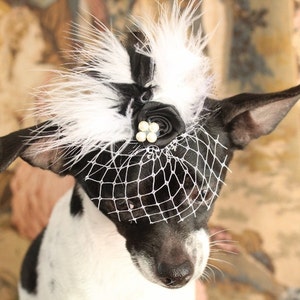 Cute black color mini hat with black and white color feather and flowers for dog or cat image 1