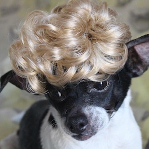 Pet   wig  for dog or cat blond color  / Halloween pet wig /Halloween wig for dog /Dog  costume /Cat costume /