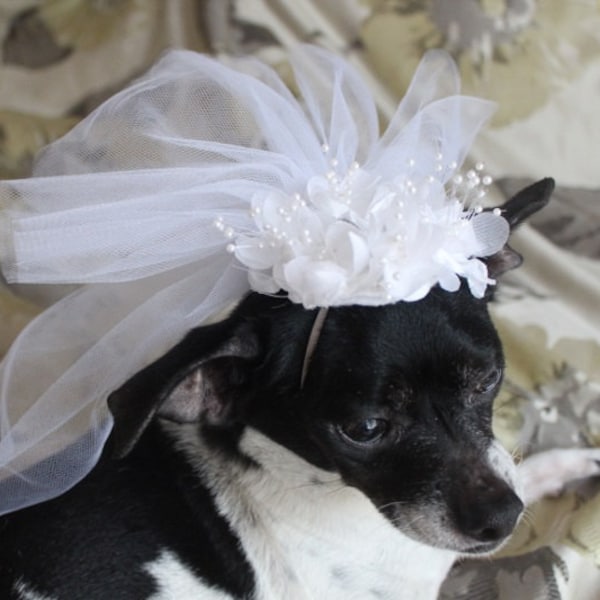 Cute bridal  veil  with white flowers for dog or cat/ Dog veil / Cat veil /Pet veil /