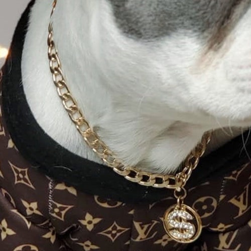 Cuban Link /supper Cute Dog Neck Chain Gold Color/jewelry for Etsy