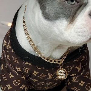 Cuban Link/  Supper cute dog neck chain gold color/ Jewelry for pet /Jewelry collar for  Frenchie/