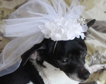 Cute bridal  veil  with white flowers for dog or cat/ Dog veil / Cat veil /Pet veil /