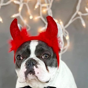 Teufelshut für große Tiermütze /Halloweenkostüm/Hörnerhut/Hundekostüm/Haustierkostüm/Halloweenhut
