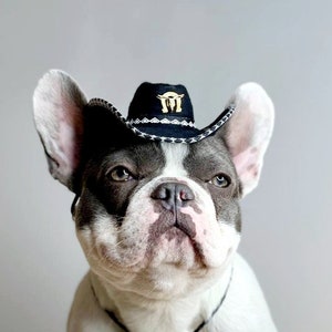 Cowboyhoed zwarte kleur / Pet voor huisdier / Kleine cowboyhoed voor hond / Cowboyhondkostuum /
