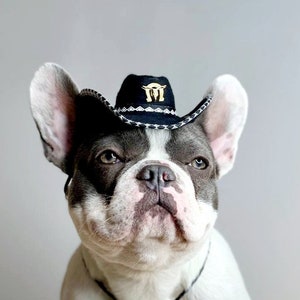 Cowboys hat black color / Hat for pet  / Small cowboys hat for dog / Cowboys dog costume /