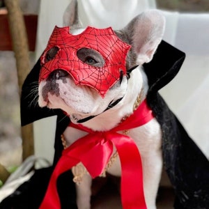 Spiderman/Supper  cute mask and cape  for  dog  /Halloween dog costume/ Costume for pet  /