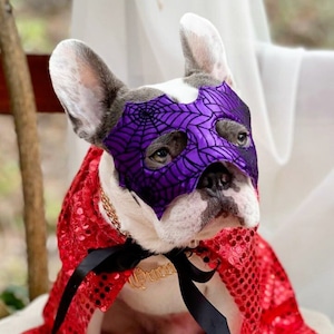 Supper  cute mask and cape  for  dog  /Halloween dog costume/ Costume for pet  /
