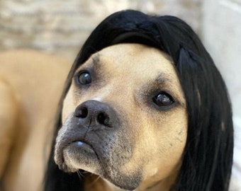 Large size black color  wig for large dog/Dog  costume/Dogs Halloween costume/