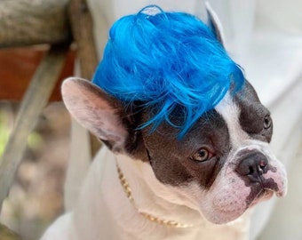 Mohawk for your pet / Halloween dog costume /Cat Mohawk / Dog costume / Cat costume /