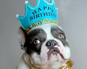 May include: A French Bulldog wearing a blue crown with the text "Happy Birthday" and a gold sequined bow tie. The dog is sitting in front of a white string of lights.