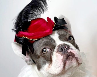 Pirate hat for large  dogs /Halloween pirate dog hat /Halloween pet costume/Dog costume/