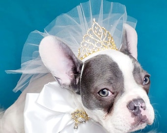Set Veil and bow /Veil for pet/ Cute bridal  veil  with white gold crown  for dog and cat