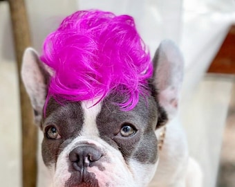 Mohawk for your pet / Halloween dog costume /Cat Mohawk / Dog costume / Cat costume /