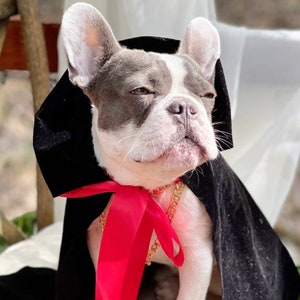 Cape for pet / Halloween costume/Dog costume/Cat  costume/ Cape for dogs/