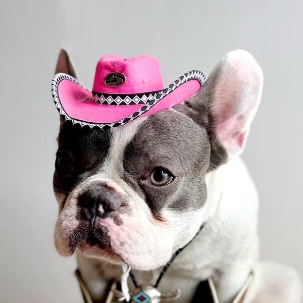 Dog hat /Cowboys  hat pink  color  for dog or cat /Dog costume /