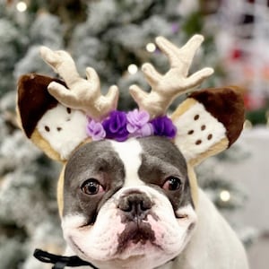 Reindeer ears headband/ Christmas  headband with black color tie for large dog  for /Christmas costume/Christmas hat/