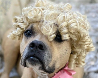 Large size Marie Antoinette  blond color  wig for dog /Halloween dog costume/Halloween costumes dog wig/Dog costume/