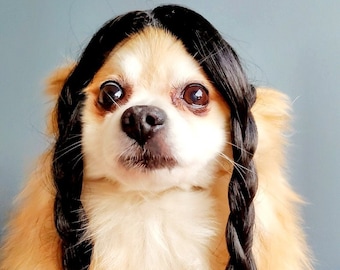 Wednesday wig for dog / Addams Family Cute pet braided   wig black color  for dog or cat/Halloween costume wig for dogs /