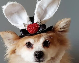 Easter Bunny hat  and bow set for dog or cat / Dog costume/Pet Halloween costume/