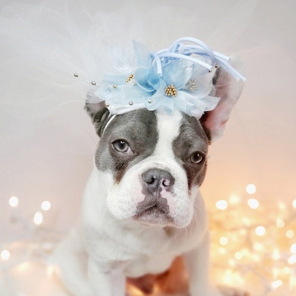 Veil for pet/ Cute bridal  veil  with blue flowers for dog and cat /Veil for dogs /