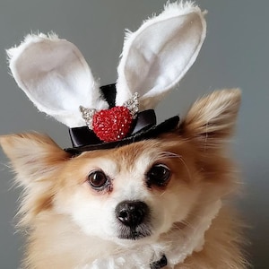 Sombrero de conejo de Pascua y juego de lazo para perro o gato / Disfraz de perro / Disfraz de Halloween para mascotas /