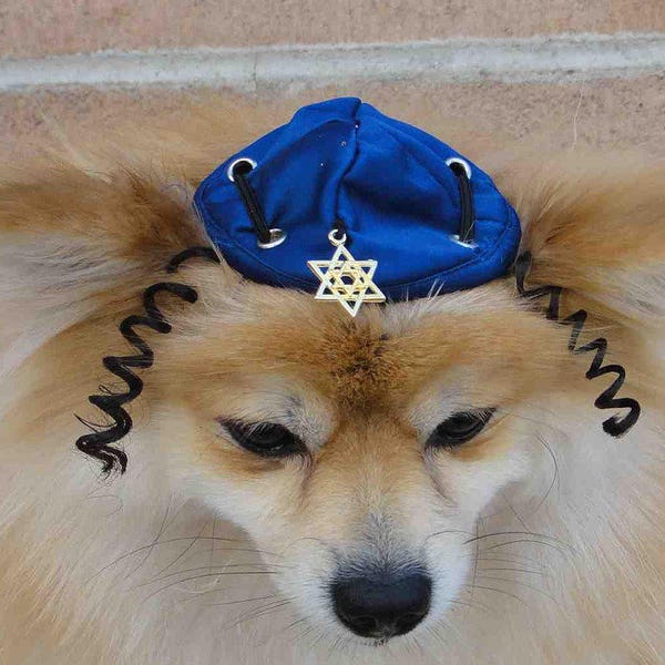 DOG KIPPAH Hanukkah hat for dog or cat/Kippah for cat/kippah for pet /kippah for dog/Yarmulke hat for dog or cat / Hanukkah dog hat /