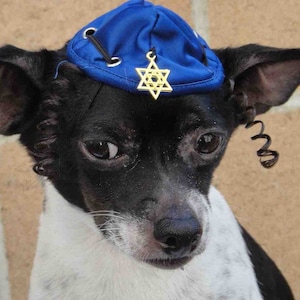 Hanukkah hat for dog or cat /Hanukkah gift /Dog costume /kippah for dog/kippah for pet/Yarmulke dog hat /