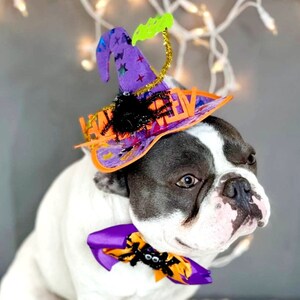 Sombrero de bruja para perro/ Sombrero de Halloween color negro con pajarita/Disfraz de perro/Disfraz de Halloween/Disfraz de Halloween de gato/Disfraz de perro imagen 1