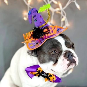 Witch hat for dog/ Black color Halloween hat with bow tie/Dog costume/Halloween  costume/Cat Halloween costume/Dog costume