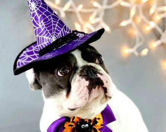 Hexenhut für Hund / Schwarzer Halloween-Hut mit Fliege / Hundekostüm / Halloween-Kostüm / Katze-Halloween-Kostüm / Hundekostüm