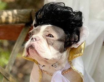 Elvis Cape Cape Cute Cape for Your Pet halloween Costume Dog Etsy UK