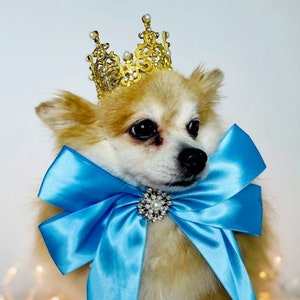 Set Listing Gold  color crown   with  blue color  bow  tie for dog or cat /Princess set/