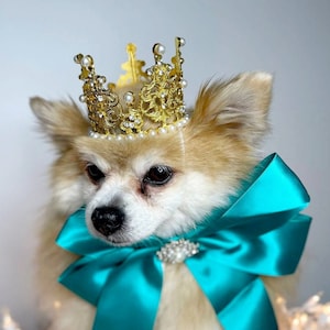 Set Listing Couronne de couleur or avec noeud papillon de couleur verte pour chien ou chat / Ensemble princesse /