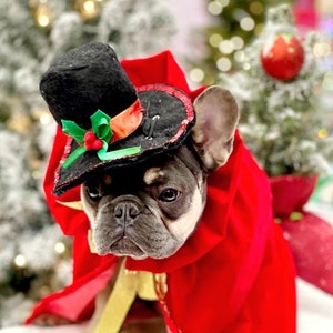 Santa hat / Chistmas set for Frenchie// Dog Christmas Hat   || Pet Bow  || Dog Clothes