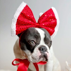 Bow Headband for Frenchie// Dog Christmas Bow //  Dog bow  || Pet Bow  || Dog Clothes