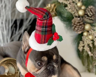 Santa hat  for pets /  Christmas  hat for dogs  /Christmas costume/Santa dog hat /