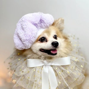 Set 2 pièces Béret et collier de cou pour chien chat ou petit animal / Costume/