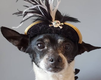 Pirate hat for dog or cat with feather and gold color trim/Dog costume/Pirate dog hat /Pirate cat hat /