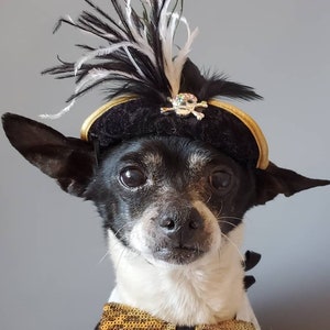 Pirate hat for dog or cat with feather and gold color trim/Dog costume/Pirate dog hat /Pirate cat hat /