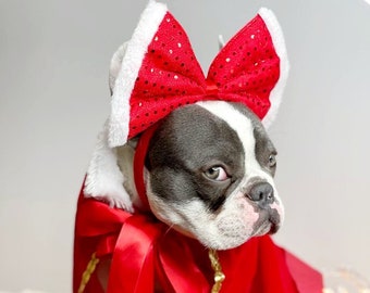 Bow Headband  and Cape  for Frenchie// Dog Christmas Bow //  Dog bow  || Pet Bow  || Dog Clothes