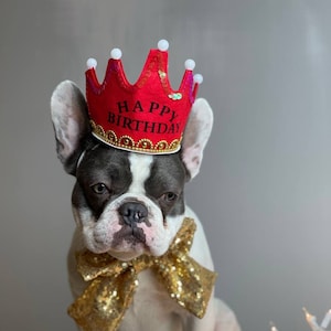 Happy Birthday Set Listing   crown and bow  tie for dog or cat /Happy Birthday set/