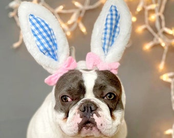 Easter Bunny headband  for dog /Bunny dog hat / Bunny dogs costume/