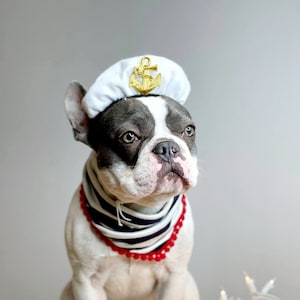 Captain hat for dog or cat  Small animal Doll /Halloween pet hat /Captain pet costume/
