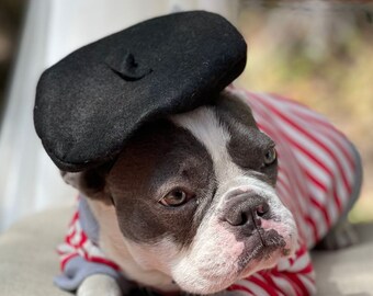 dog beret hat
