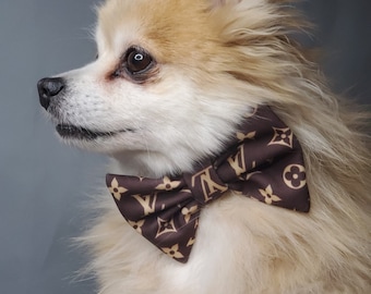 louis vuitton dog clothes inspired