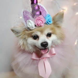 May include: A small white dog wearing a pink tutu and a unicorn headband with a purple horn, white, pink, and blue flowers, and sparkly purple ears.