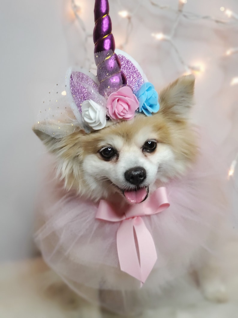 May include: A small white dog wearing a pink tutu and a unicorn headband with a purple horn, white, pink, and blue flowers, and sparkly purple ears.