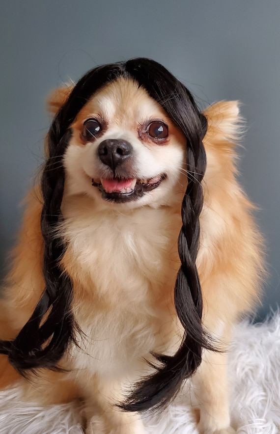 Wednesday Wig for Pet Cute Pet Braided Wig Black Color for Dog or Cat halloween Dog Wig Costume Dog Wig dog Costume Etsy